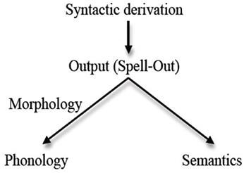 The Locus Preservation Hypothesis: Shared Linguistic Profiles across Developmental Disorders and the Resilient Part of the Human Language Faculty